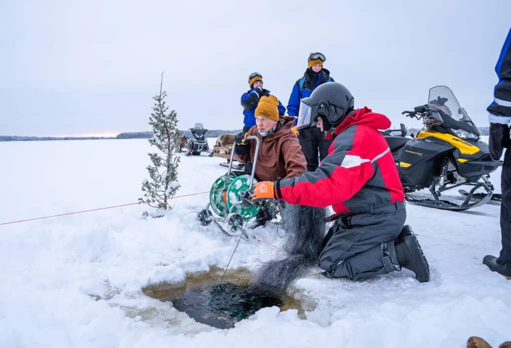 feel-nordic-kerttu-komulainen